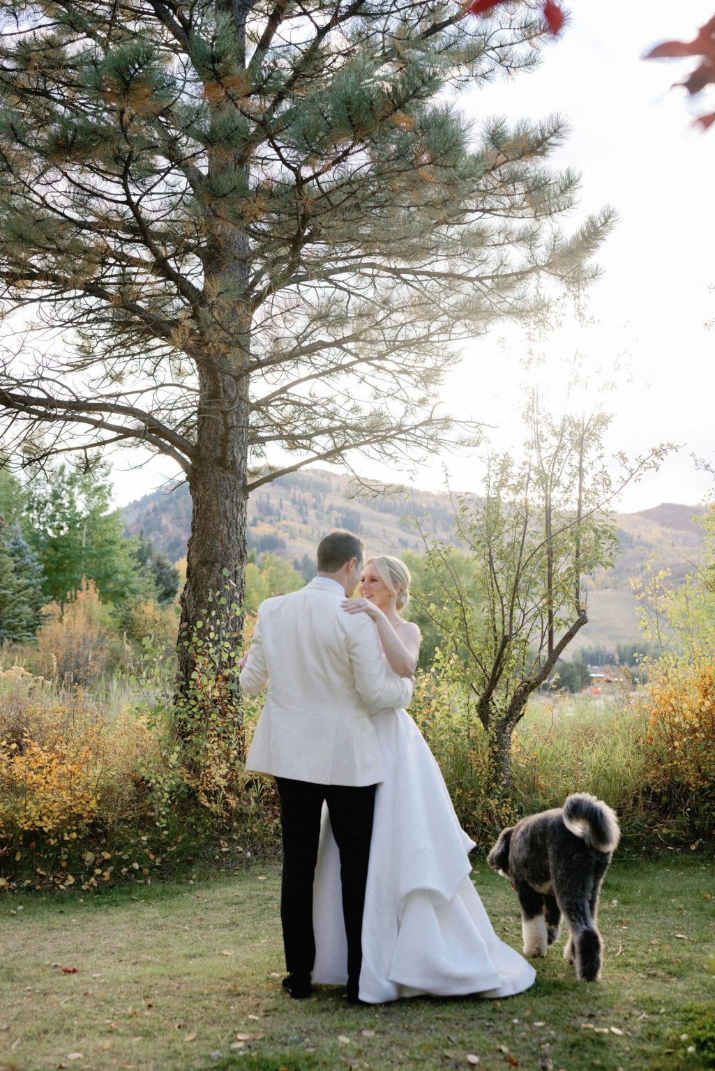Kayla & Patrick's wedding at the Aspen Chapel and the Caribou Club: the couple with their dog beneath the trees