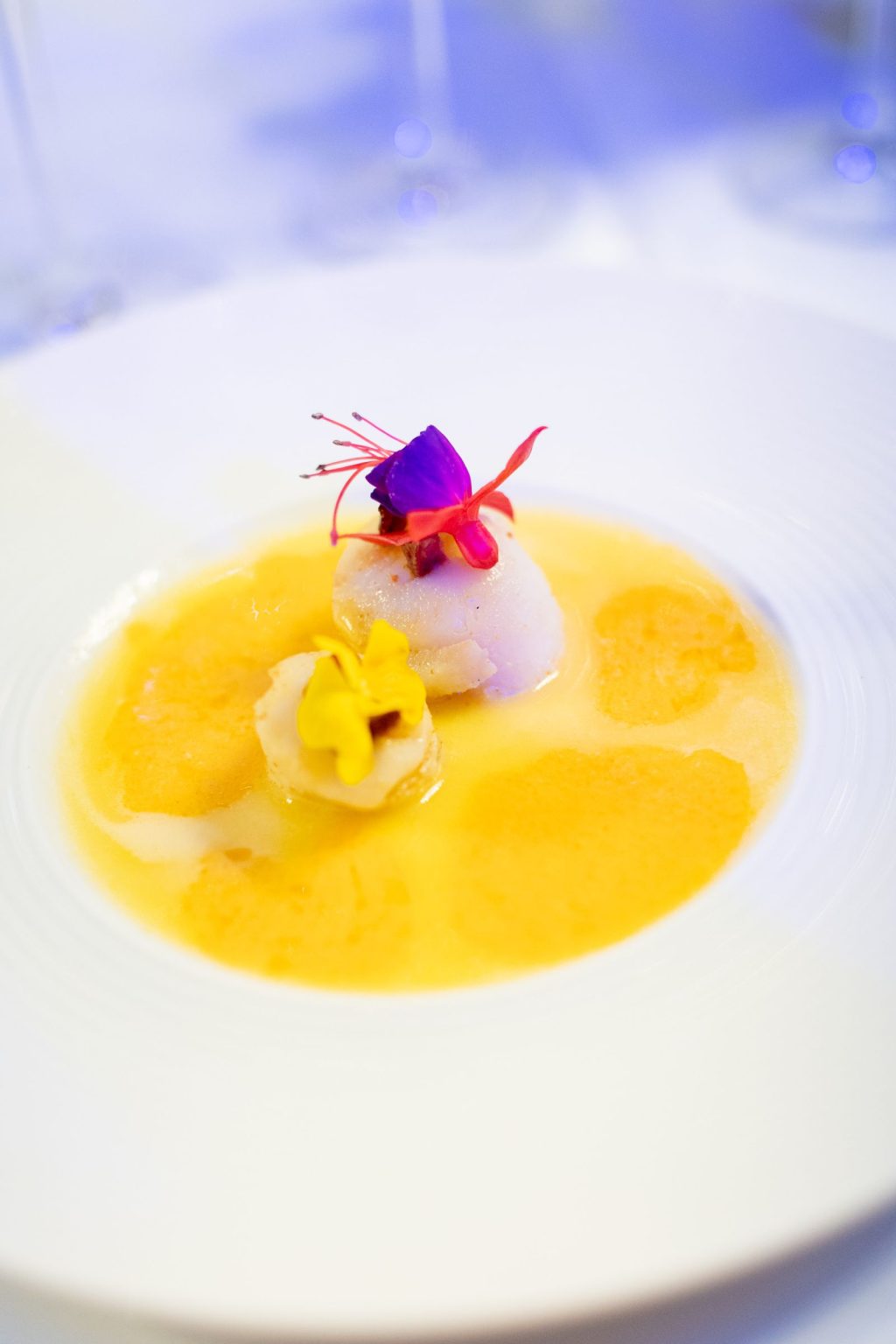 Château Saint Joseph FAM trip in the South of France: a plated course