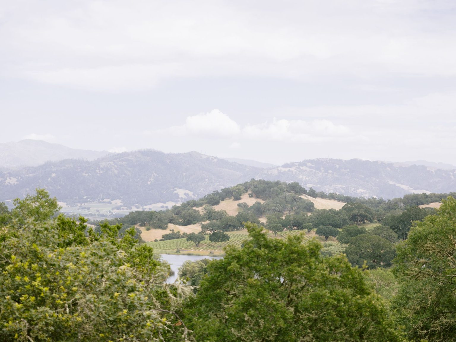 Sydney and Keaton's destination wedding at Montage Healdsburg, California: wedding day