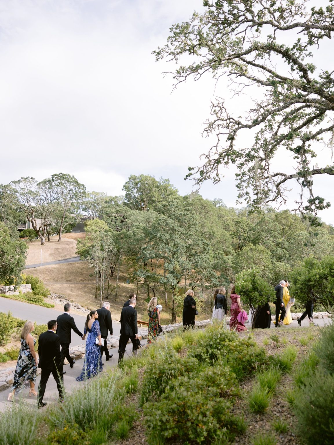 Sydney and Keaton's destination wedding at Montage Healdsburg, California: the ceremony on the Oak Lawn
