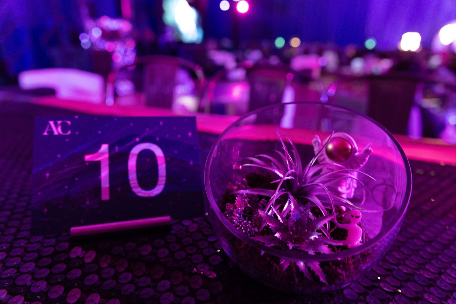 Out of This World gala for the Aspen Youth Center at Hotel Jerome