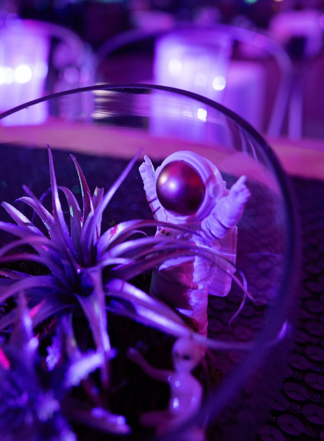 Out of This World gala for the Aspen Youth Center at Hotel Jerome