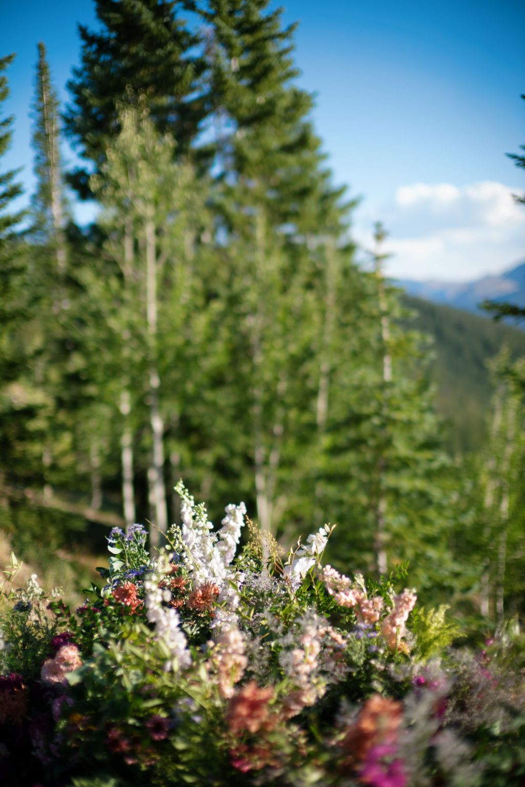 Aline and Colin's wedding at the top of Aspen Mountain