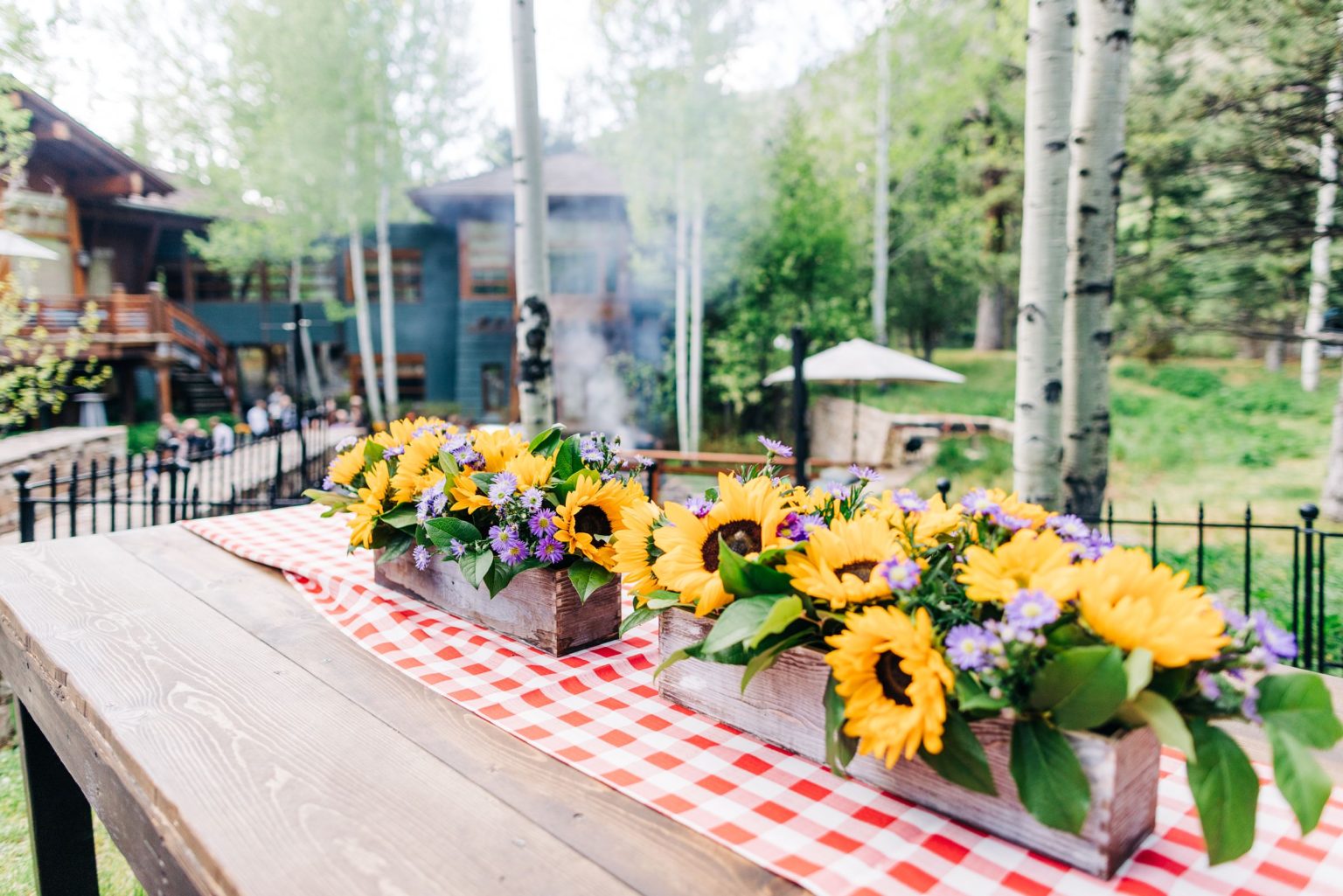 Julie & Tobias's wedding on the Northstar Preserve, Aspen: sunflowers on red gingham