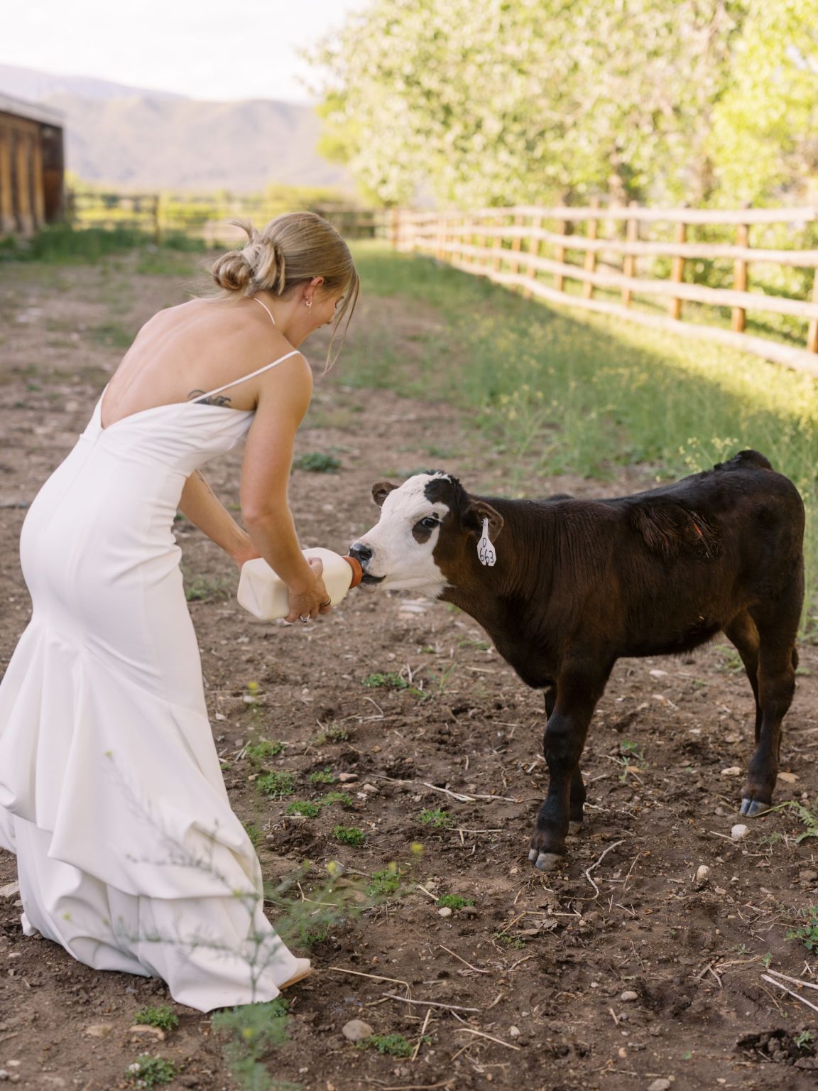 Clare and Kobe's McCabe Ranch wedding in Old Snowmass, Colorado: portrait of the couple