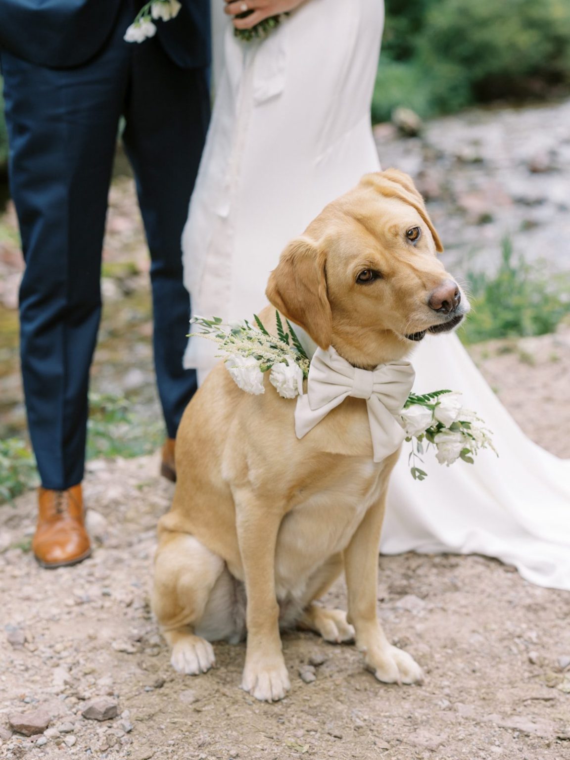 Meredith and Jason's wedding at T Lazy 7 Ranch, Aspen: portraits by the river