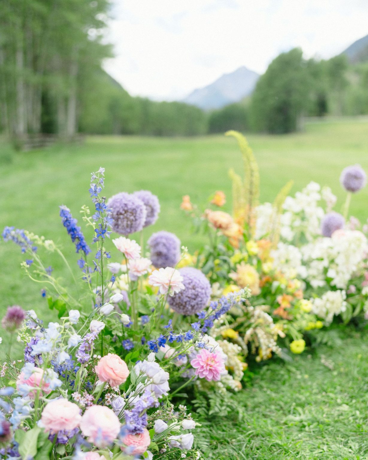 A wildflower wedding at T Lazy 7 Ranch, Aspen: delphinium, garden roses, and stock in the ceremony border