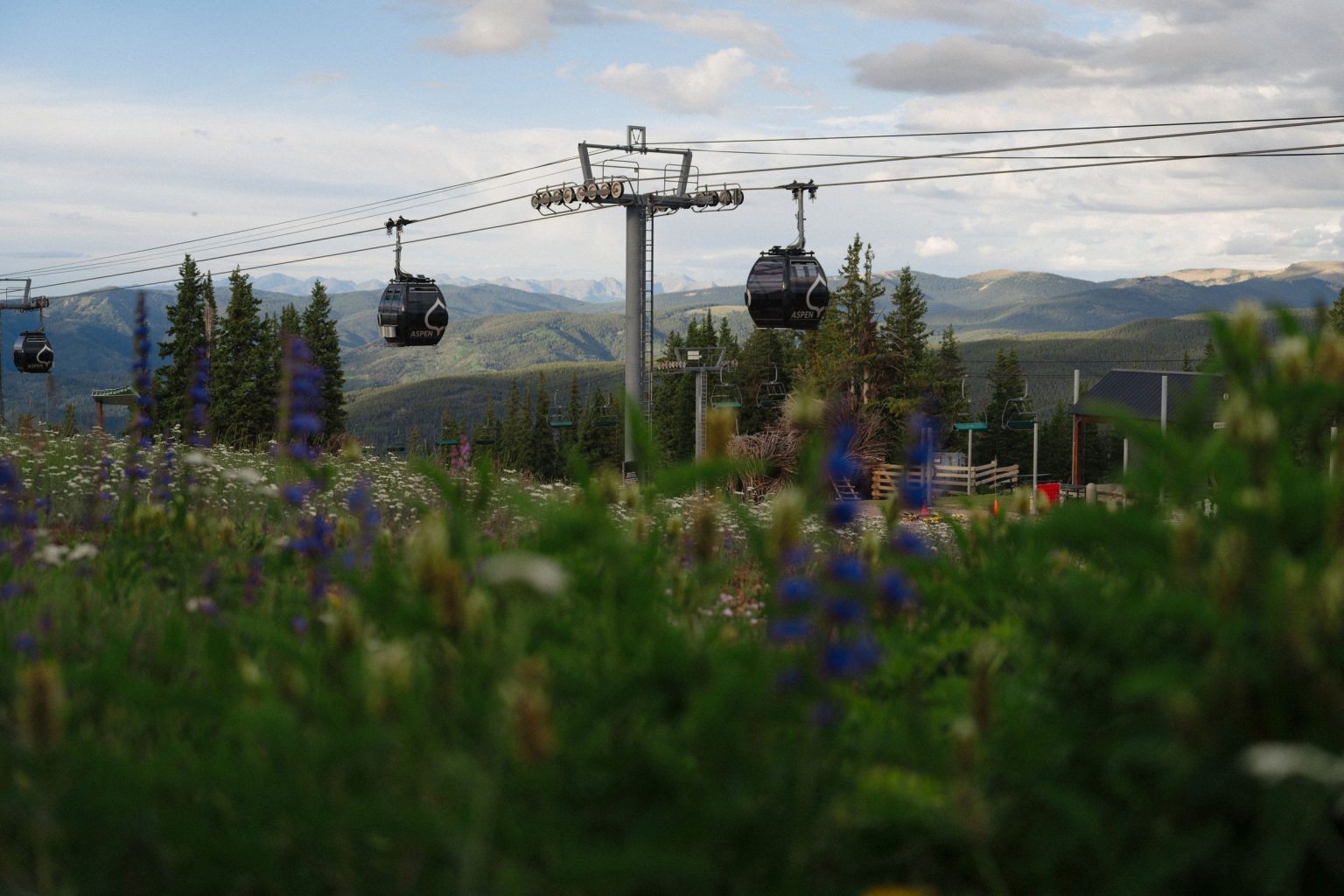 A wildflower wedding at T Lazy 7 Ranch, Aspen: wildflowers and the gondola on Aspen Mountain