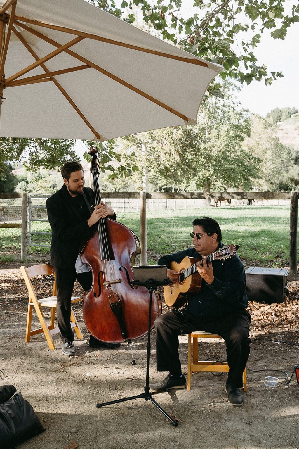 Anna and Sully's wedding at Whispering Rose Ranch, Santa Ynez, California: the ceremony beneath the sycamores